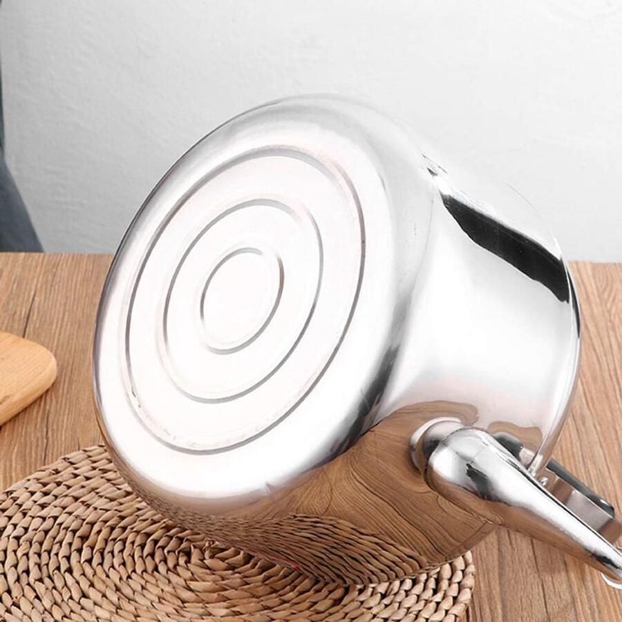 Waterkoker RVS Grote Ketel Water Koken Fluitend Geluid 5 Liter Zilver