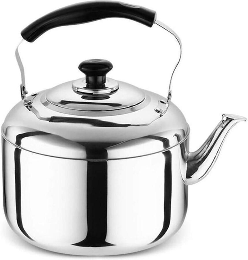 Waterkoker RVS Ketel Kookketel Water Koken Grote Capaciteit 4L Zilver