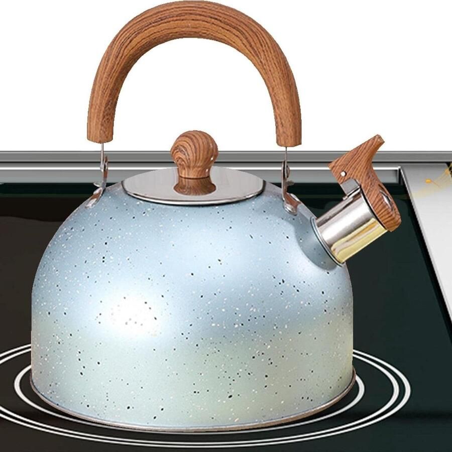 Waterkoker RVS Theeketel Fluitketel Water Koken Luid Fluitende 2 Liter Groen
