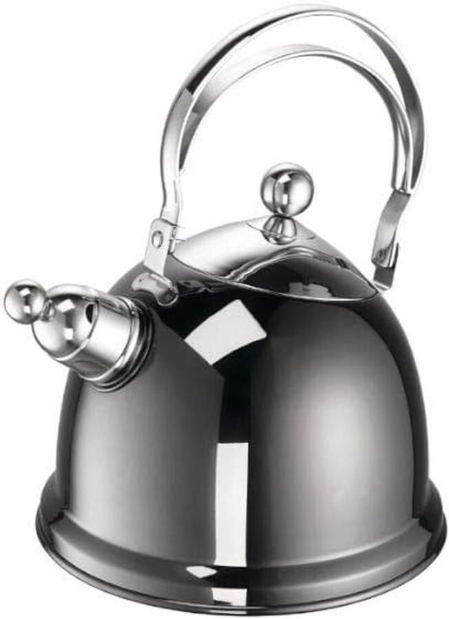 Waterkoker RVS Theeketel Kookpan Water Koken Snel en Efficiënt 2.2 Liter Zilver