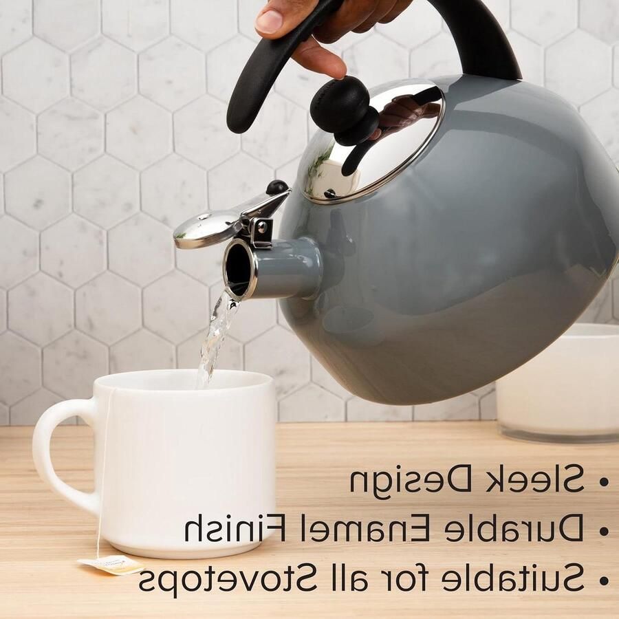 Waterkoker RVS Theeketel Kookplaat Water Verwarmen Fluitend Geluid 2.75 Liter Grijs