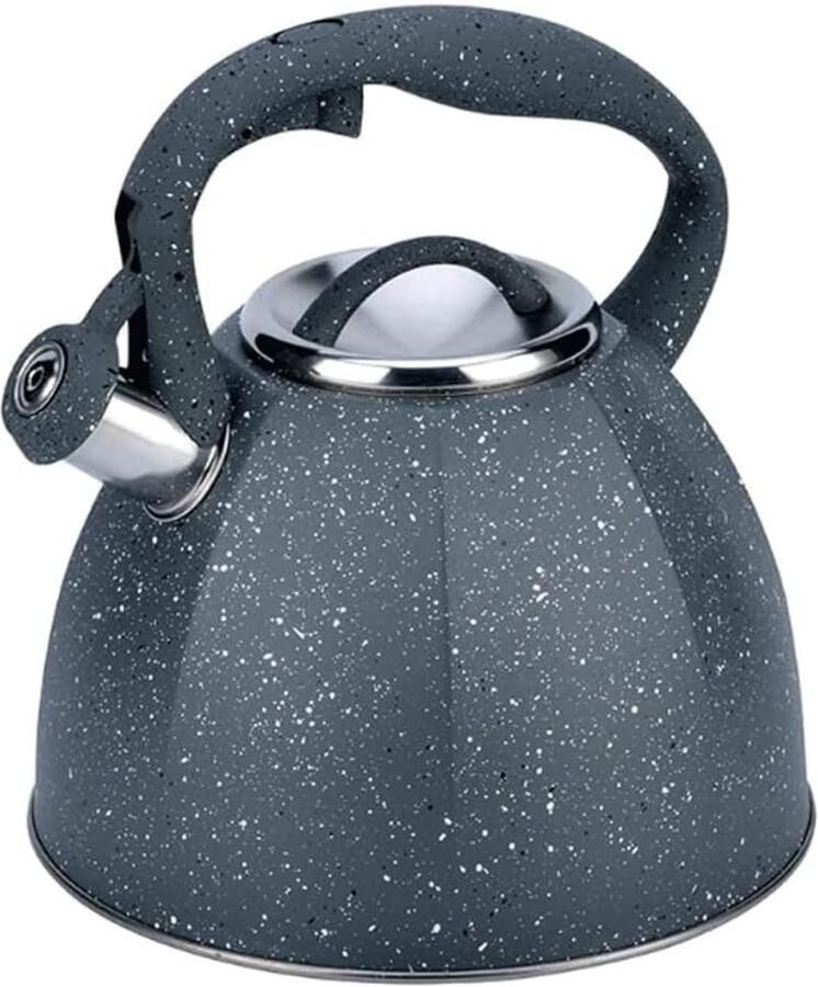 Waterkoker RVS Theepot Fluitketel Snel Water Koken Grote Inhoud 3.7 Liter Zilverkleurig