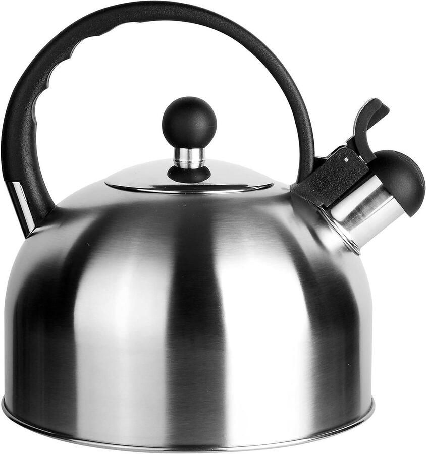 Waterkoker RVS Theepot fluitketel Water Koken Eénknops schenktuit 2.5 Liter Zilver