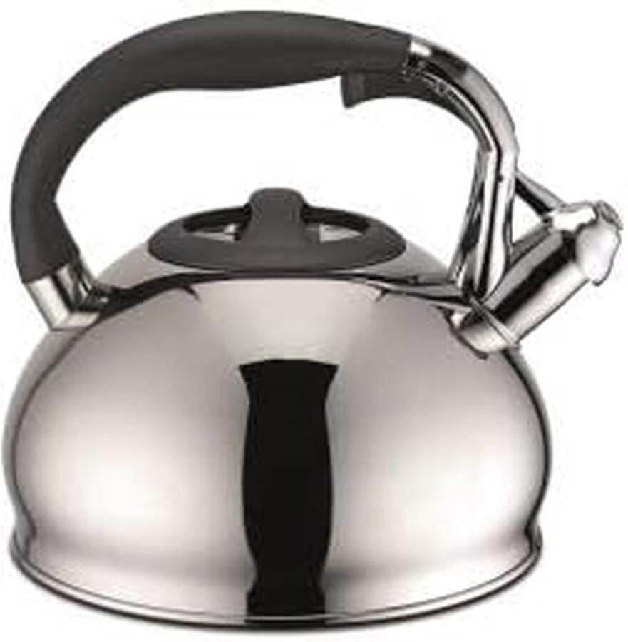 Waterkoker RVS Theepot Fluitketel Water Koken Geluidsignaal 2.8 Liter RVS