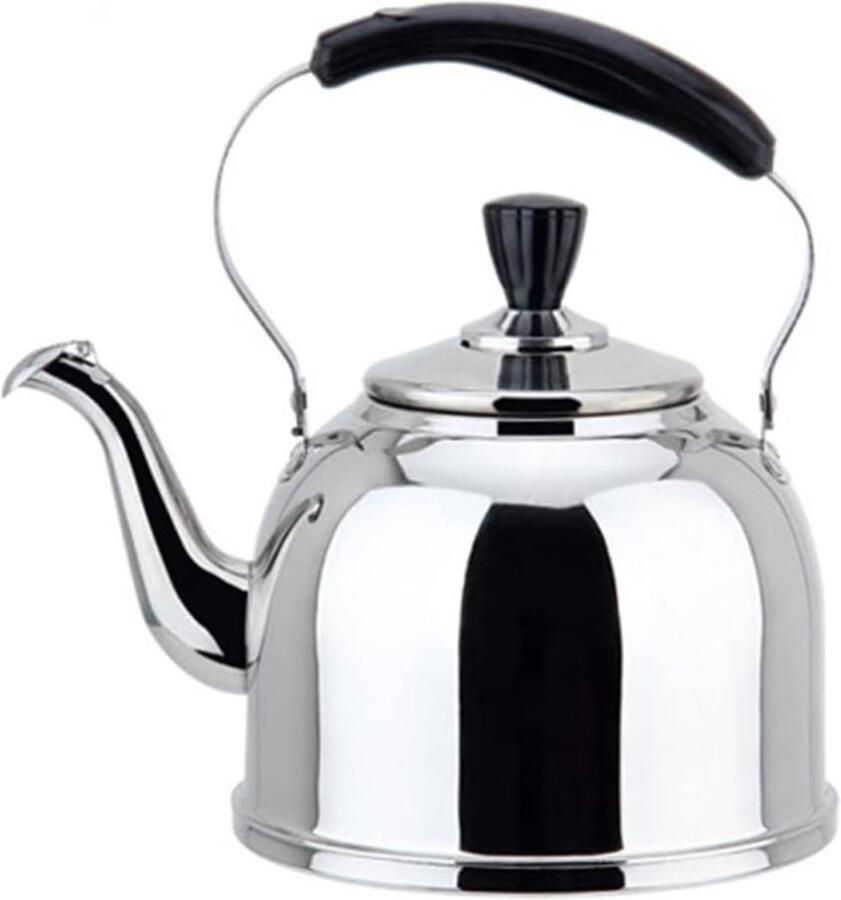 Waterkoker RVS Theeketel Fluitketel Water Koken Voedselveilig Roestvrij Staal 5L Zilver