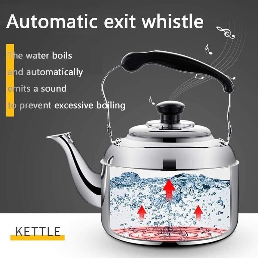 Waterkoker RVS Theepot Fluitketel Water Koken Geluidsignaal Kookpunt 5 Liter Inhoud Zilverkleurig