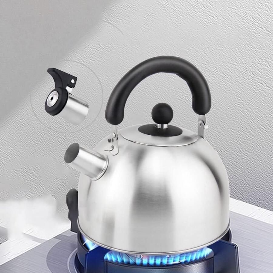 Waterkoker RVS Theepot fluitketel Water Koken Handige fluitfunctie 6 Liter Groen