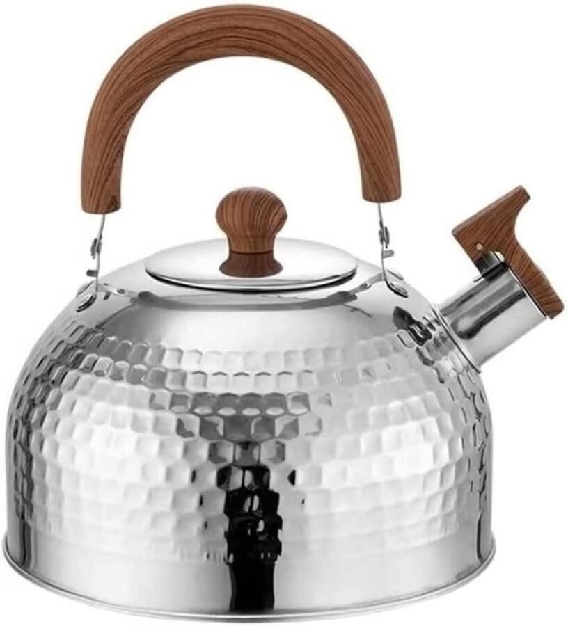 RVS Fluitketel Waterkoker Theepot Water Koken Verbrande Handen Voorkomen 3L Zilver