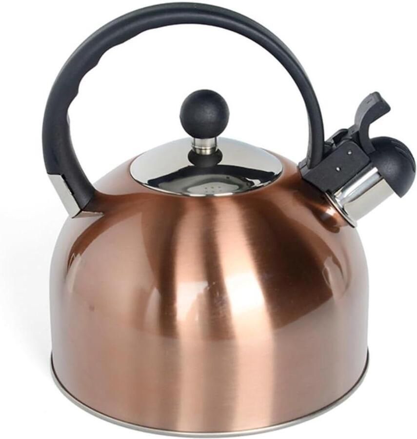 Waterkoker RVS Theepot Fluitketel Water Koken Met Fluitje 2.5 Liter Zilverkleurig
