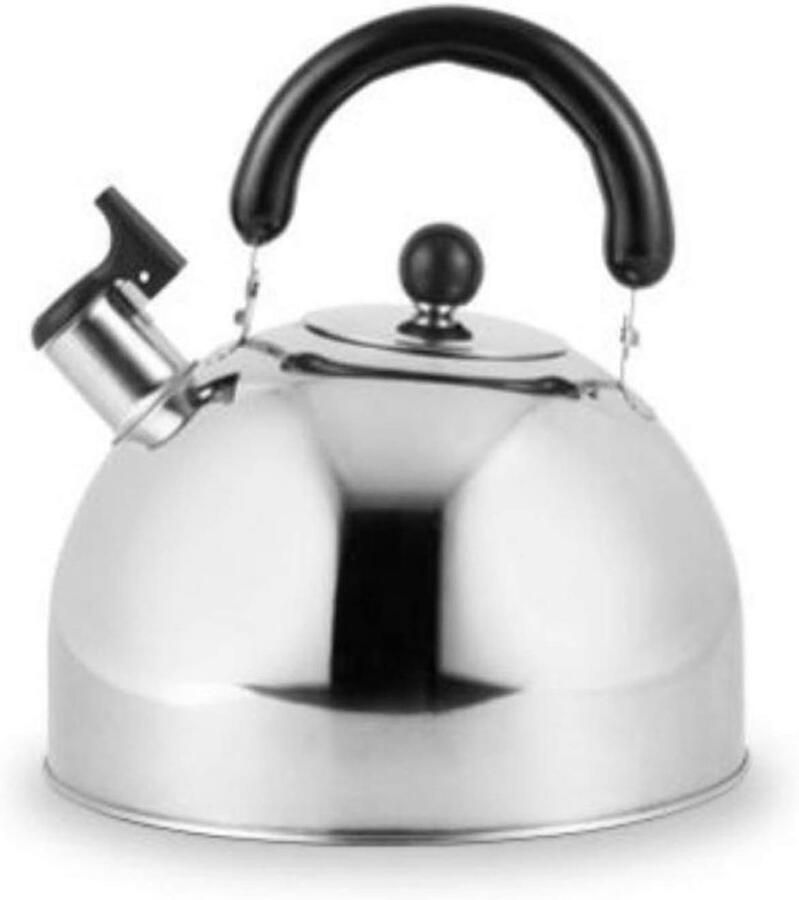 Waterkoker RVS Theepot Fornuis Koffie Thee Zetten Gelijkmatige Warmte 1.2 Liter Zilverkleurig