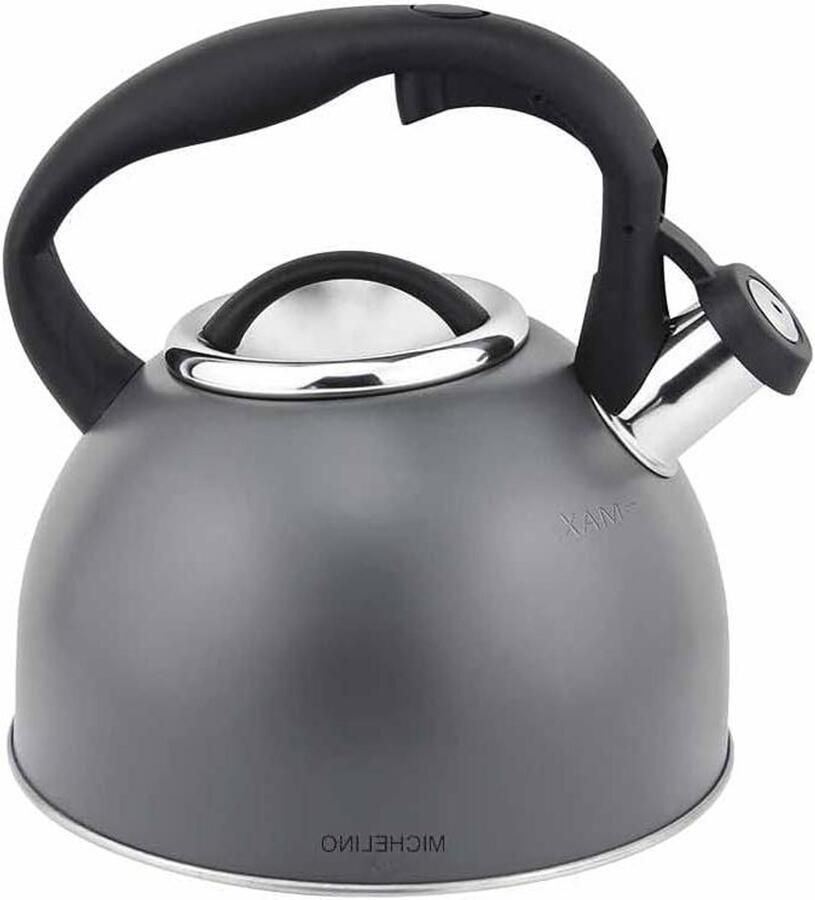Waterkoker RVS Theepot Ketel Water Koken Fluitfunctie 3 Liter Grijs