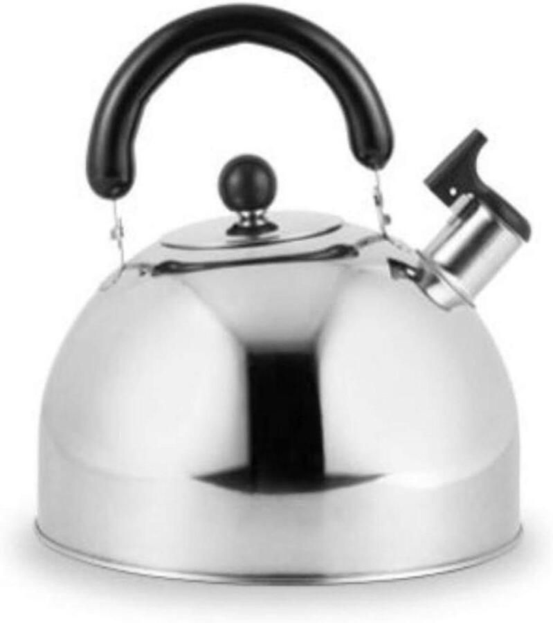 Waterkoker RVS Theepot Ketel Water Koken Verdikte Hemisferische Bodem 1.2L Zilver