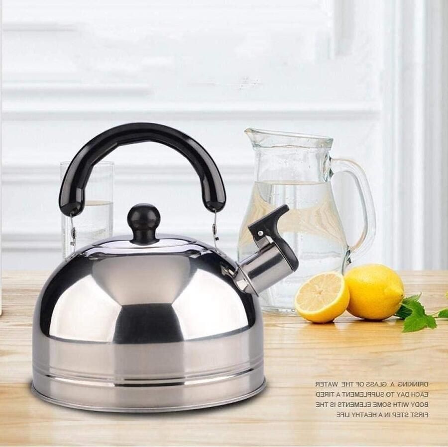 Waterkoker RVS Theepot Koffiepot Thuis en Reizen Fluitketel Design 3 Liter Zilverkleurig
