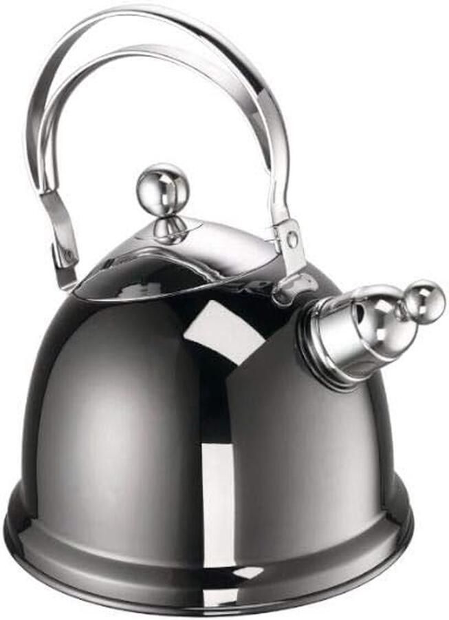 Waterkoker RVS Theepot Koken Water Verwarmen Grote Inhoud 2.2 Liter Zilverkleurig