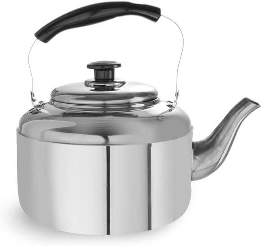 Waterkoker RVS Theepot Koken Water Verwarmen Rubberen Handgreep 6 Liter Zilver