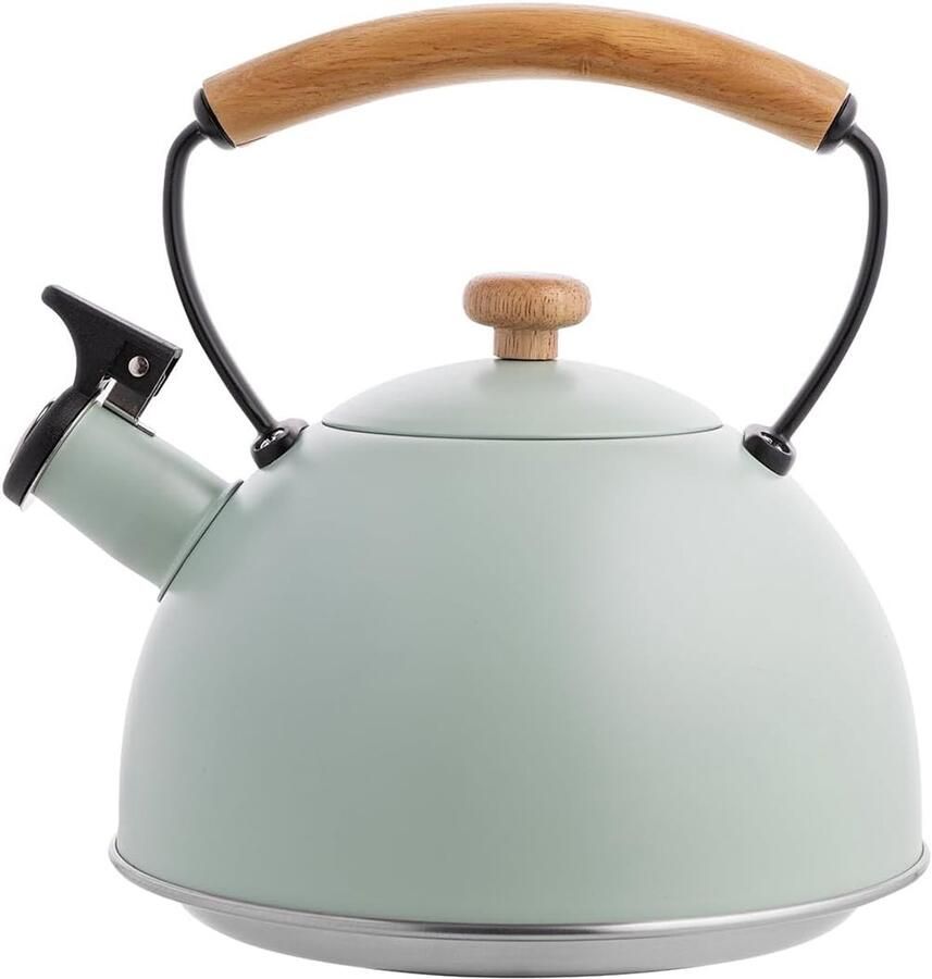 Waterkoker Theeketel Fluitketel Warme Dranken Maken Voor Alle Vuren 23 Liter Mint