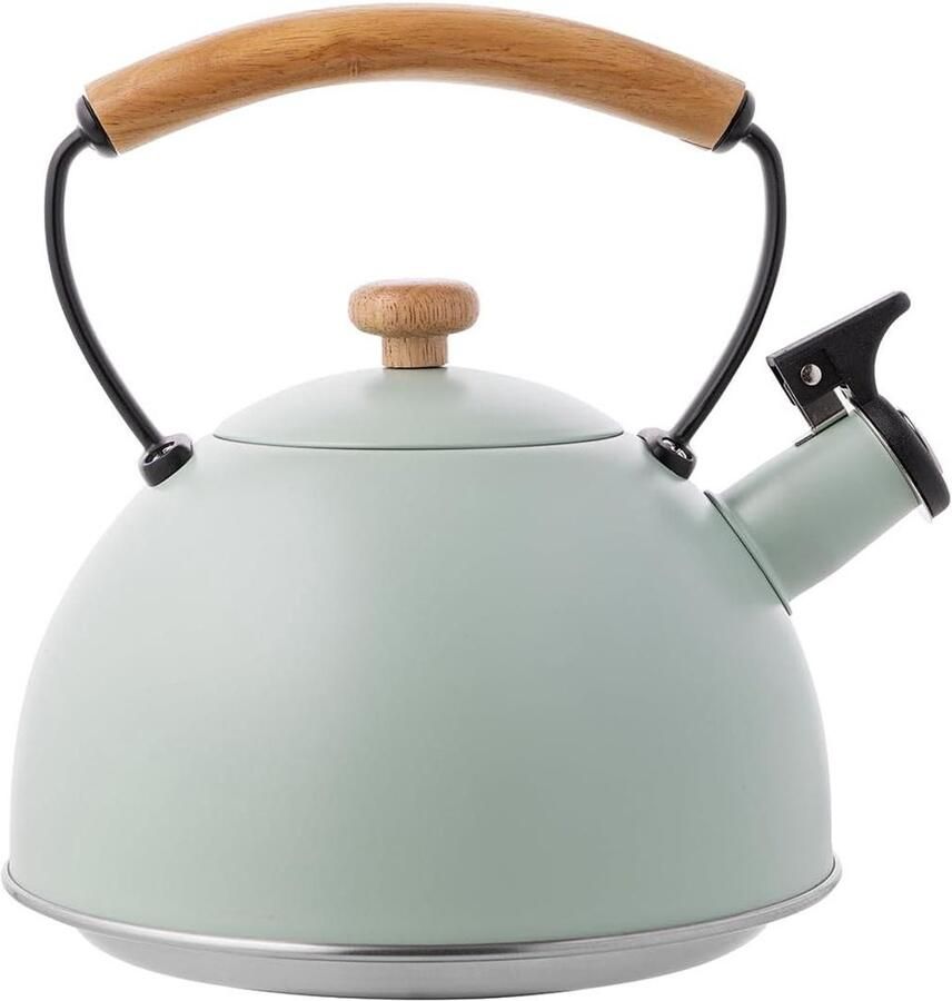 Waterkoker Theeketel Fluitketel Water Koken Roestvrij Staal 23 Liter Mint