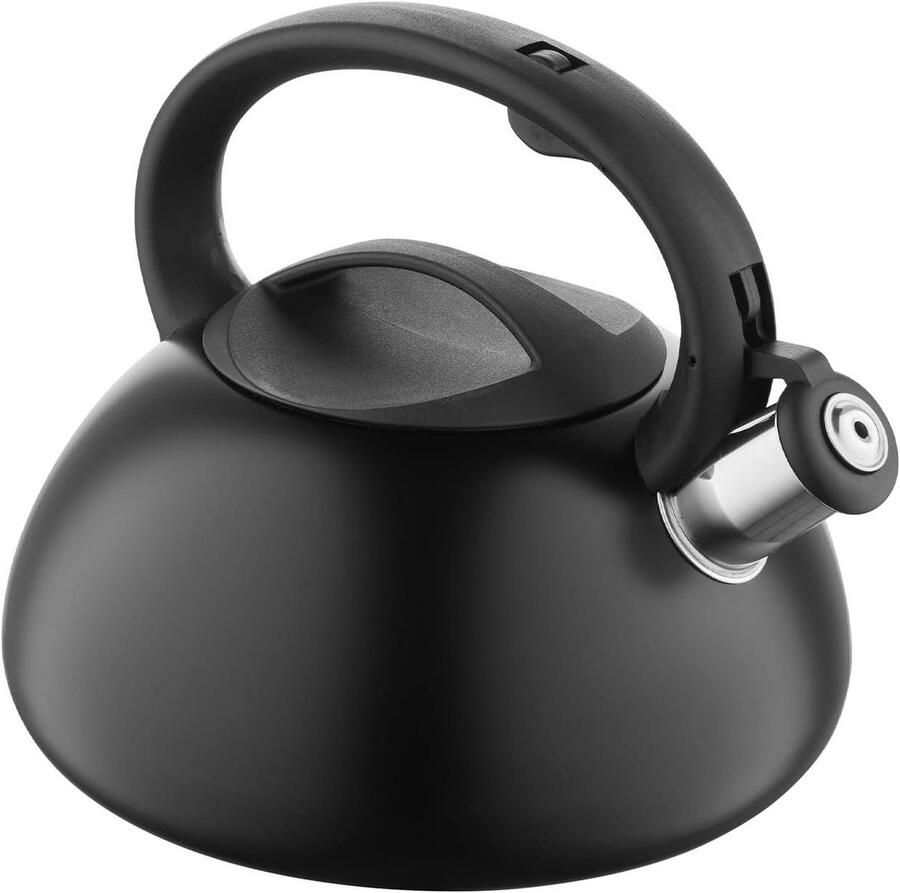 Waterkoker Theeketel Fluitketel Water Koken Roestvrij Staal 25 Liter Zwart