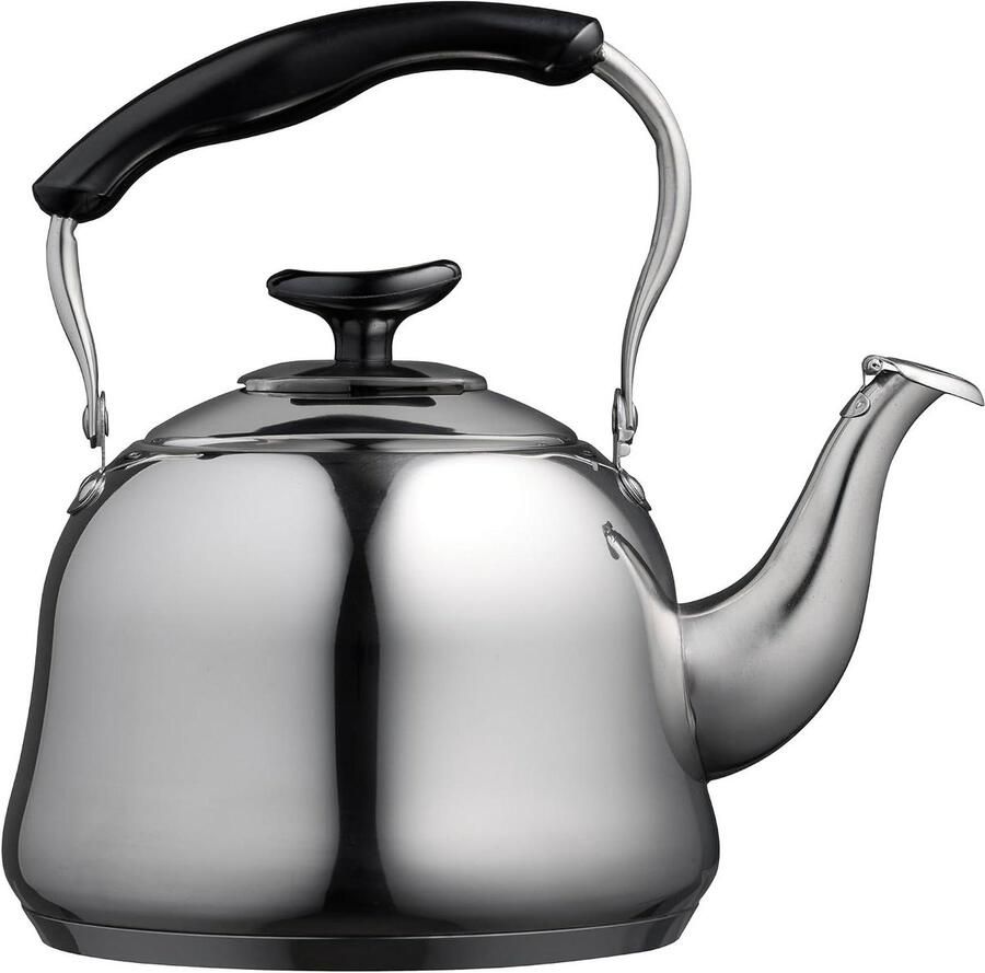 Waterkoker Theeketel Ketel Water Koken Met Fluitfunctie 15 Liter Zilverkleurig