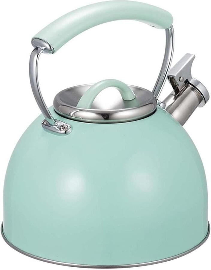 Waterkoker Theeketel RVS Water Koken Fluitfunctie 2.5L Capaciteit Zilver