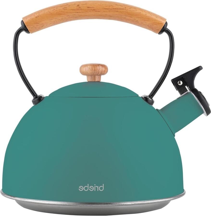 Waterkoker met fluitje Theepot keuken Koffie en thee Voor alle warmtebronnen 2.3 Liter Groen