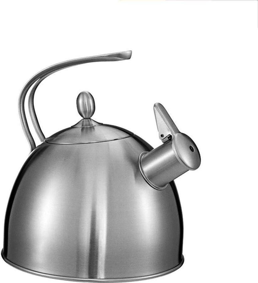 Waterkoker Theepot Fluitketel Snel Water Koken Roestvrij Staal 06 Liter Zilver