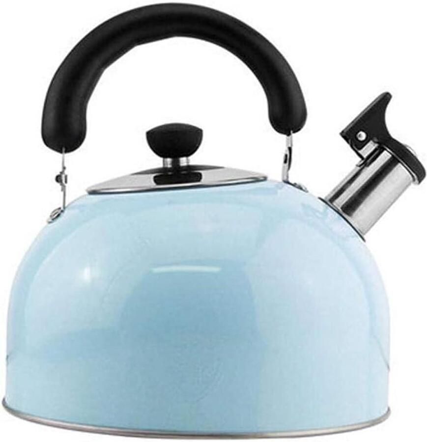 Waterkoker Theepot Fluitketel Warm Water Maken Hittebestendig Handvat 26 Liter Zilver Oranje