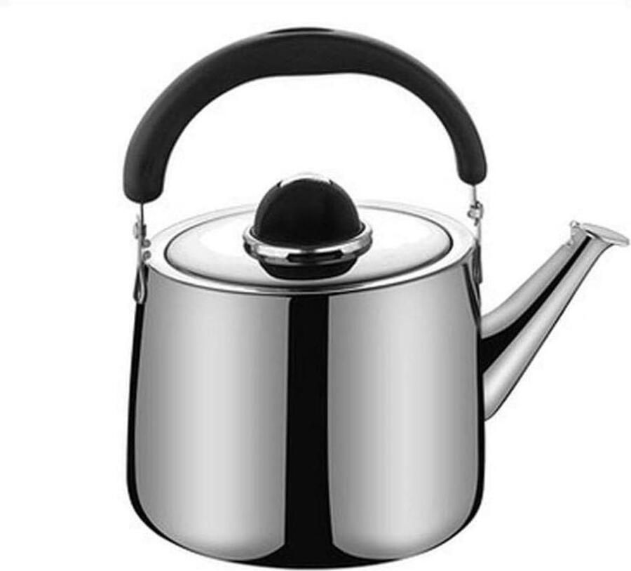 Fluitketel Roestvrij Staal Waterkoker Theepot Water Koken Luid Fluitgeluid 4L Zilver
