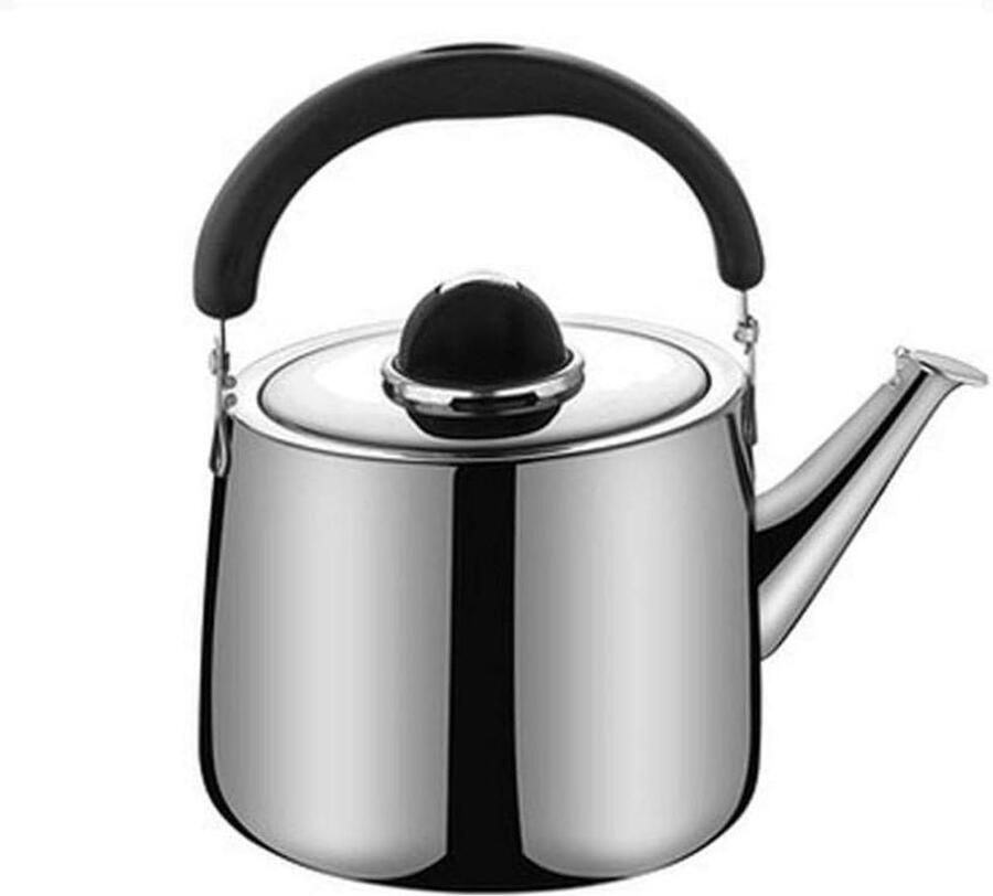 Waterkoker Theepot Fluitketel Water Koken Roestvrij Staal 8 Liter Zilver