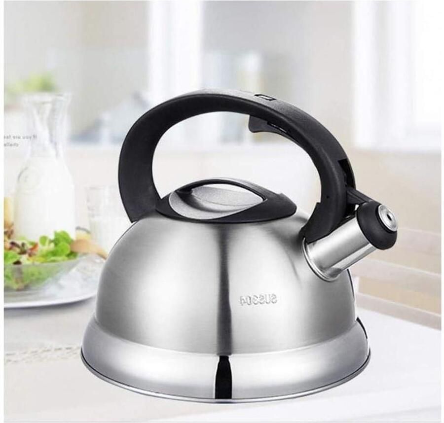 Waterkoker Theepot Fornuis Koken Luid Fluitsignaal 3 Liter Zilver