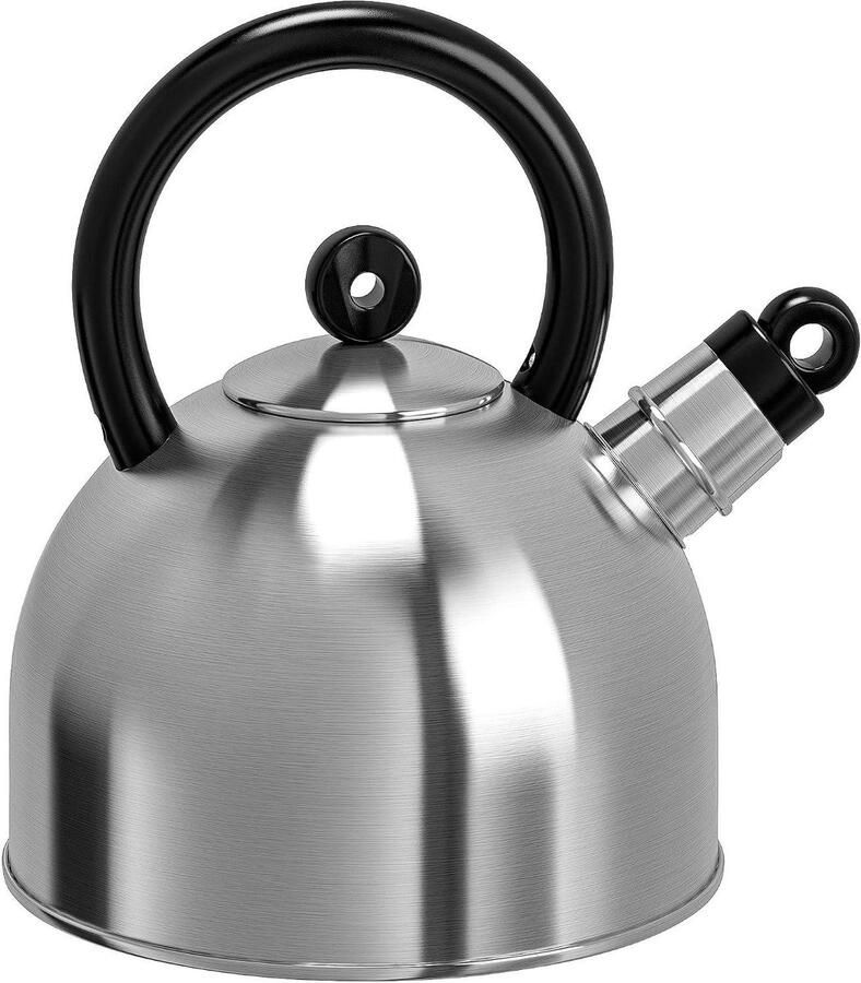 Waterkoker Theepot Koken Snel Water Koken Fluitfunctie 2 liter RVS Zwart