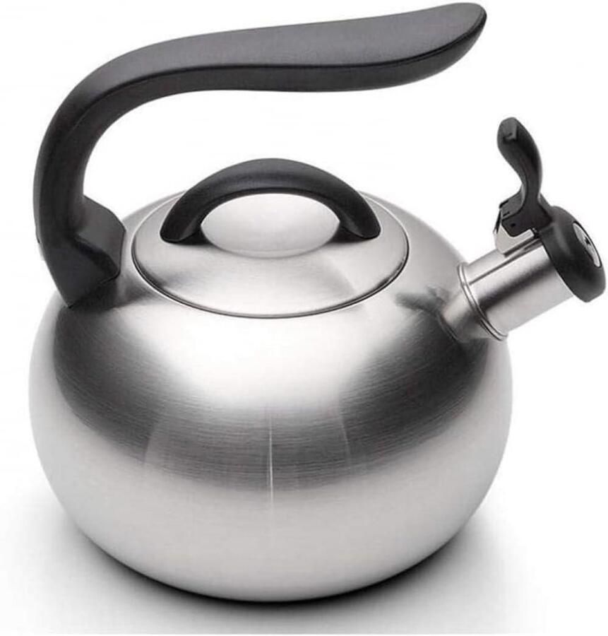 Waterkoker Theepot Kookpan Water Koken Fluitend 3 Liter Zilver