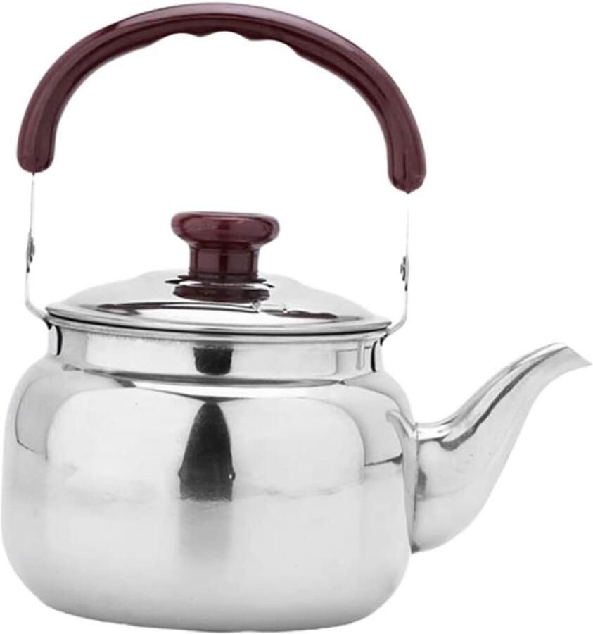 Waterkoker Theepot Reisfornuis RVS Water Koken Spiegelpolijst Proces 0.5 Liter Zilver