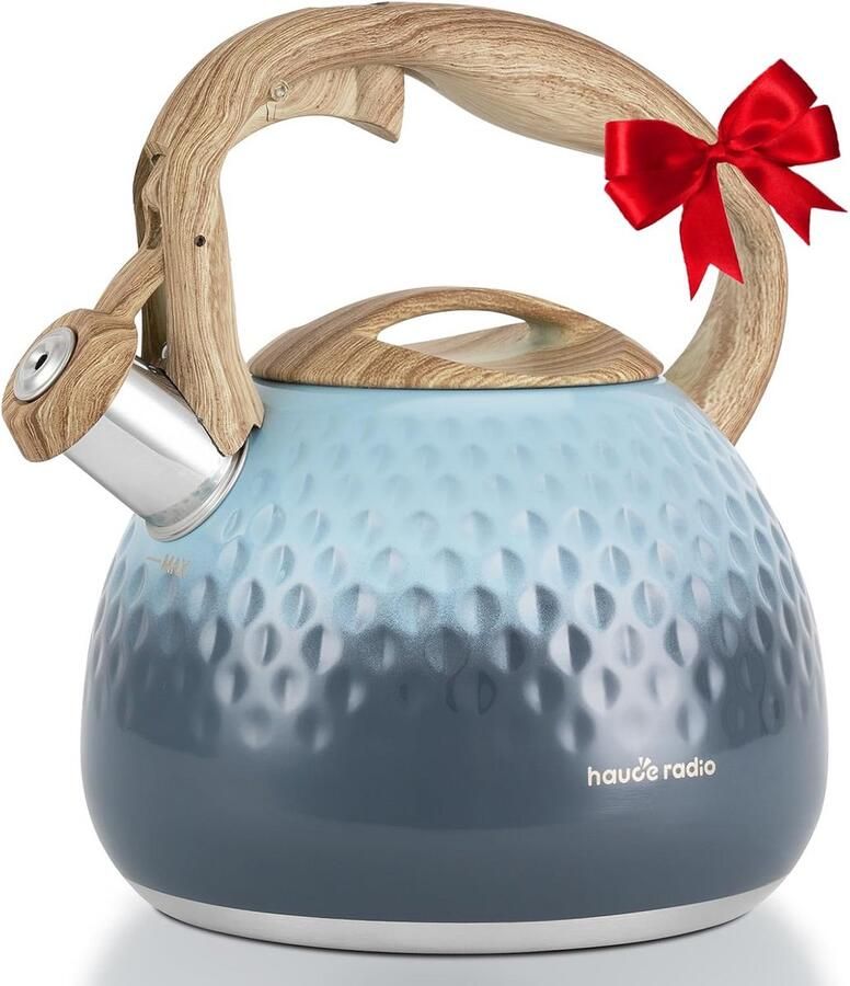 Waterkoker Theepot RVS Water Koken Luid Fluitje 2.7 Liter Gegradueerd Blauw