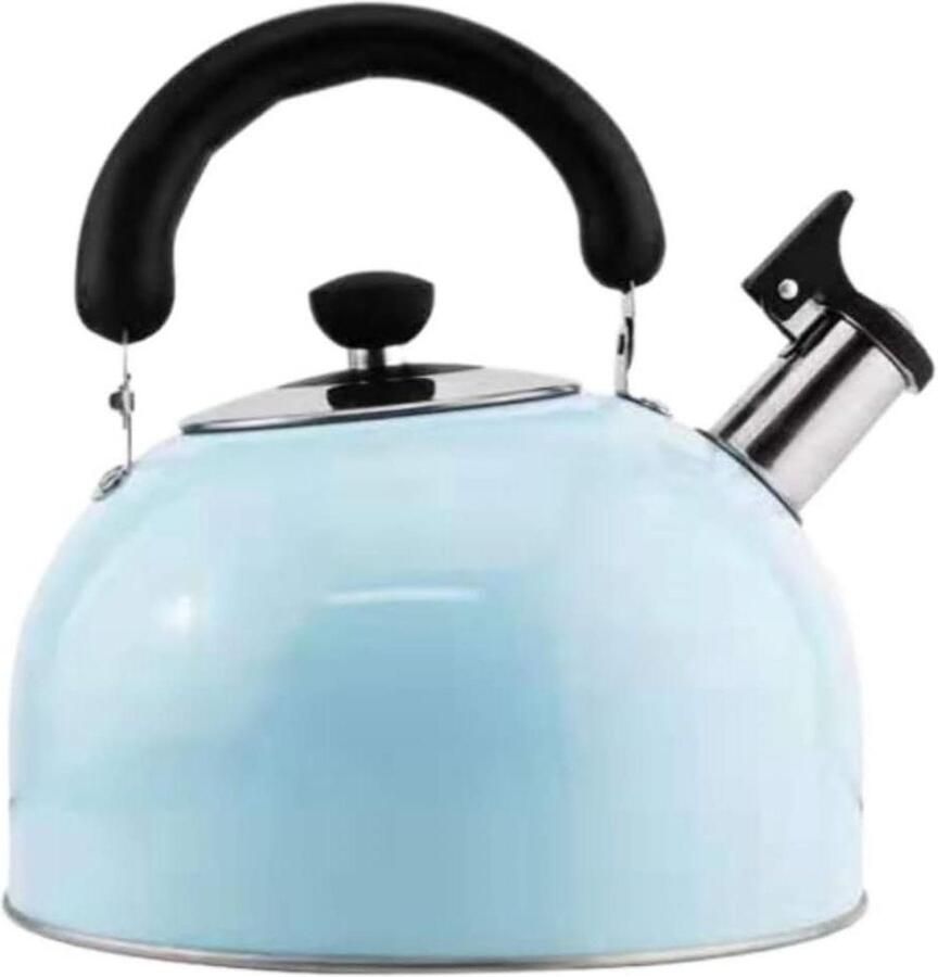 Waterkoker voor fornuis Fluitketel RVS Snel water koken Fluit bij kookpunt 4 Liter Blauw