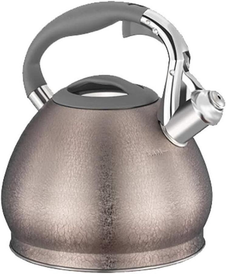 Waterkoker Voor Kachel Theepot RVS Water Koken Grote Capaciteit 3L Zilver