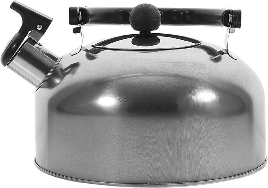 Whistling Water Kettle Teapot Waterkoker Water Koken Luid Fluitje 5 Liter Zilver