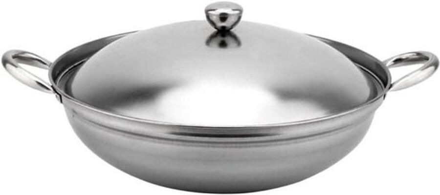 Wokpan met Deksel Antiaanbakpan Roerbak Thuis Koken Hulpgreep Inclusief 22x22x10cm Zilver