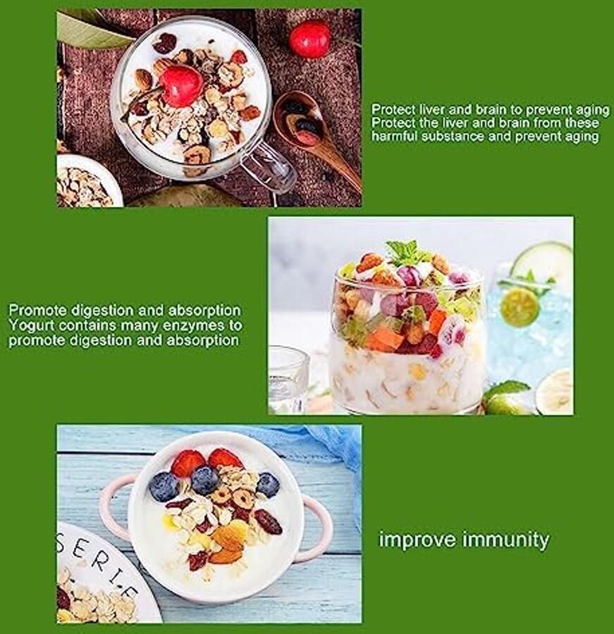 Yogurt Maker 15W RVS Voor Franse en Griekse yoghurt Maak gezonde yoghurt thuis ShopVlot