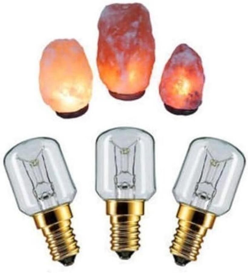 Zoutlamp Gloeilampen 3 Stuks 15W E14 Fitting Kleine Lampjes voor Koelkast of Oven