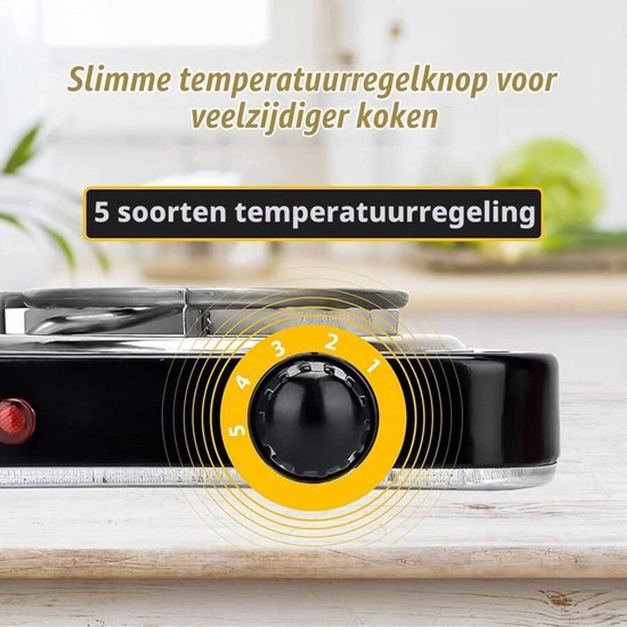 Elektrische kolenaansteker kolenbrander 1000 W elektrische kolenaanmaakblokjes voor shisha met kolenrooster mobiele kookplaat elektrisch voor kokoskool bamboehoutskool