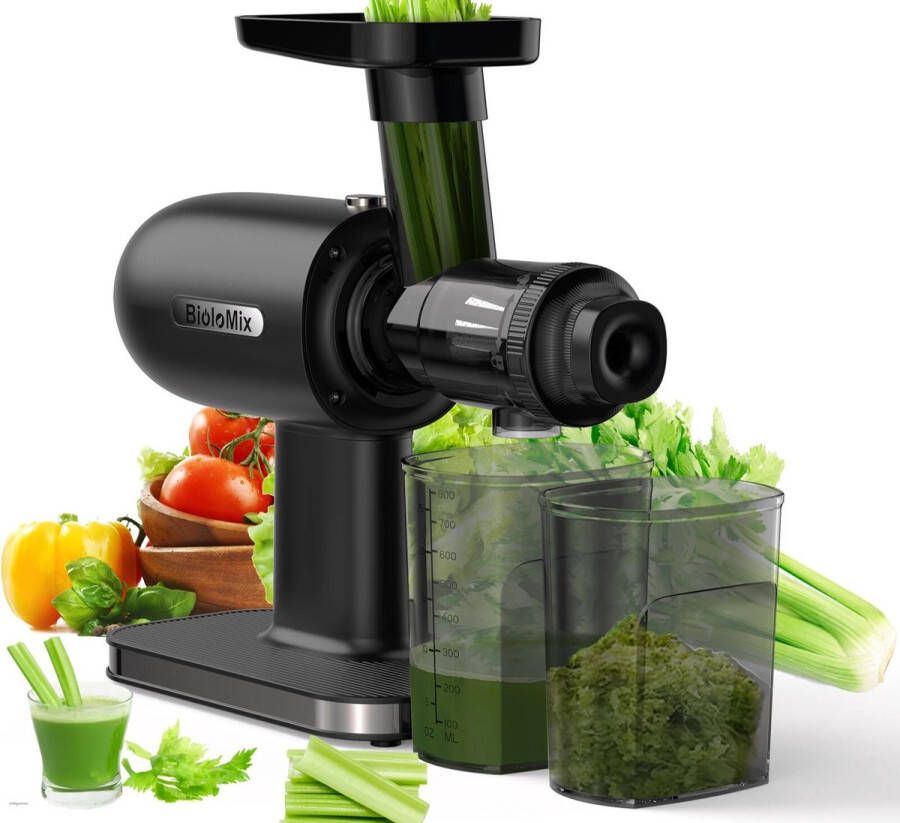 FIBILA Juicer Slowjuicer Sapcentrifuge Sapmaker Sap Extractor Sap Machine Fruit en Groenten Krachtige Motor Zwart