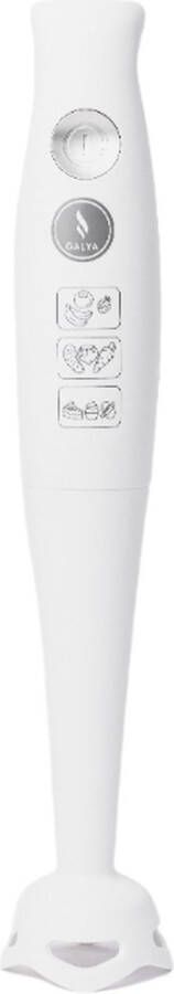 Galya cookware Staafmixer Hand blender Extra krachtig 600Watt