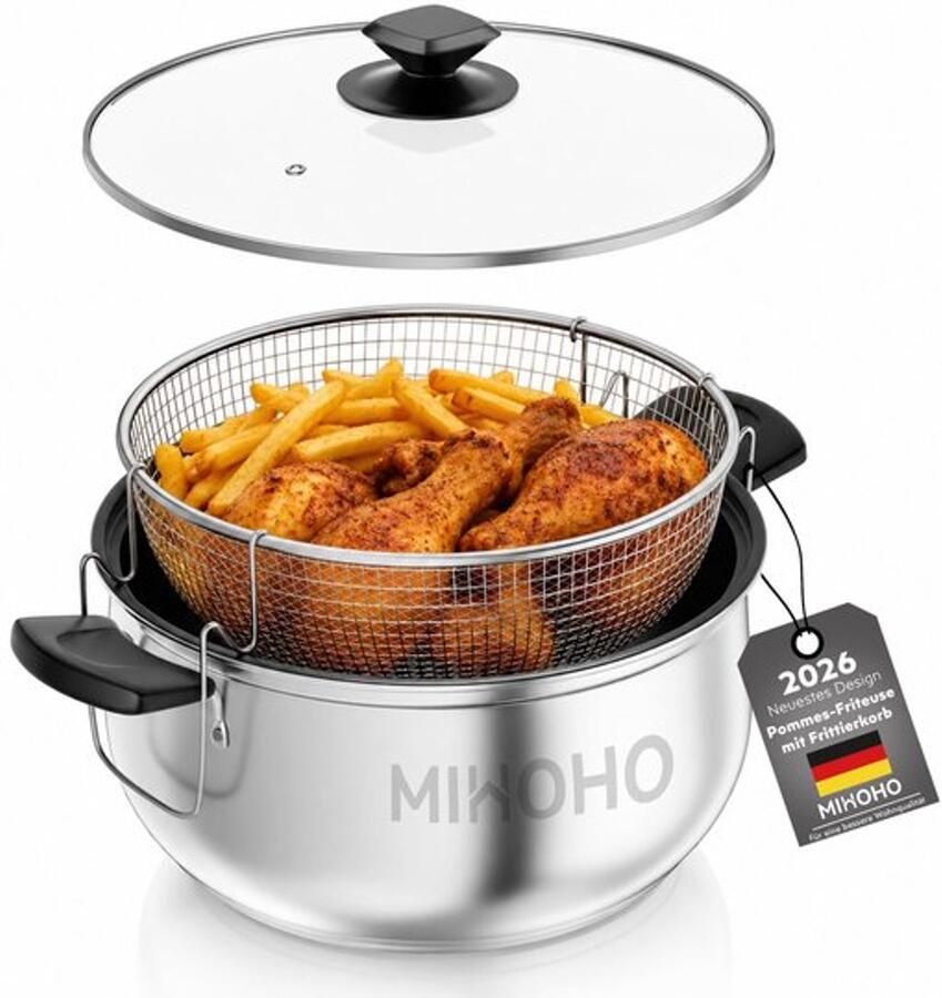 Grote frituurpan met frituurmand en deksel frituren en asperges 5 liter inhoud geschikt voor inductie inclusief zeef zonder PFAS kras- en snijbestendig (zilver A)