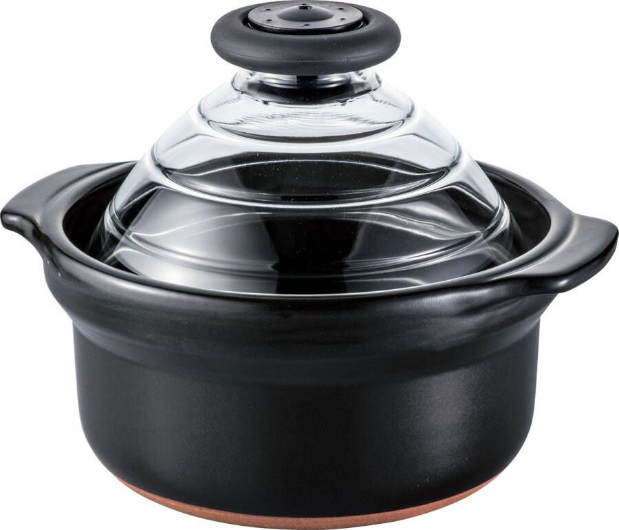 Hario Rijstkoker met Glazen Deksel 2-4 Personen Vaatwasbestendig Made in Japan