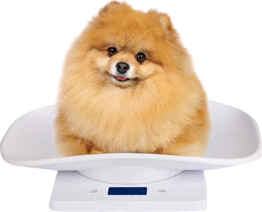Dierenweegschaal Premium Voor Kleine Dieren Babyweegschaal Tot 10KG Koffie Weegschaal Schaal 18 bij 30 CM Keukenweegschaal Weegschaal voor Keuken Digitaal Precisie Weegschaal Pakketweegschaal Puppy weegschaal Sinterklaas Kerst - Foto 2