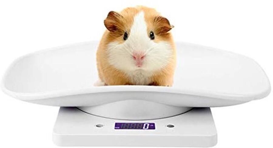 Karzo Digitale weegschaal voor huisdieren multifunctionele weegschaal voor katten en honden meetinstrument elektronische keukenweegschaal 10 kg 1 g