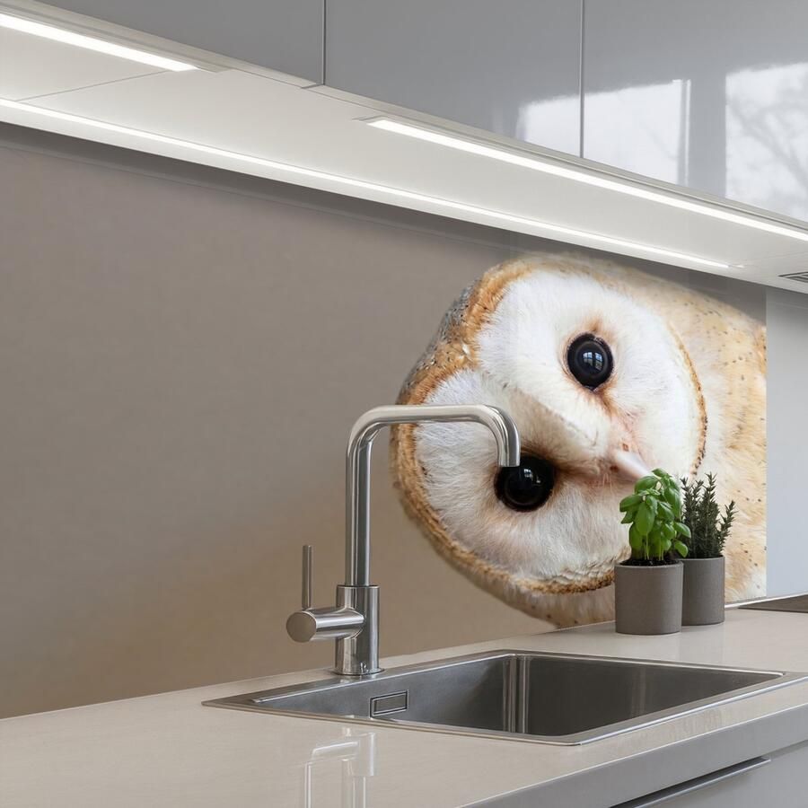 KitchenYeah Keuken achterwand 100x60 cm Spatscherm zelfklevend Uil Bruin Wit Muurbeschermer Spatwand fornuis