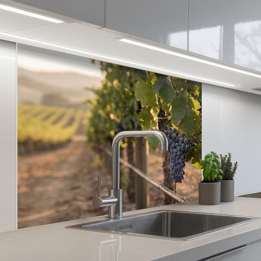 KitchenYeah Keuken achterwand 100x80 cm Spatscherm zelfklevend Druiven Wijngaard Zonlicht Muurbeschermer Spatwand fornuis
