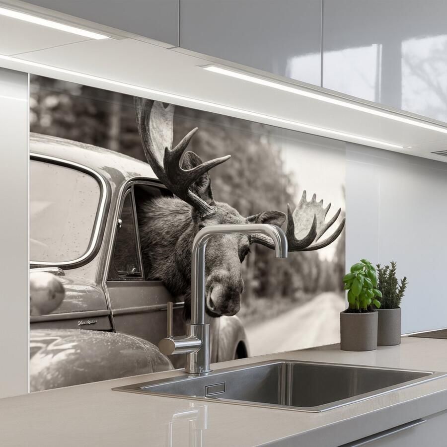 KitchenYeah Keuken achterwand 100x80 cm Spatscherm zelfklevend Eland Auto Gewei Zwart Wit Muurbeschermer Spatwand fornuis